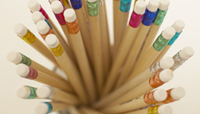 SPICES Curriculum Development